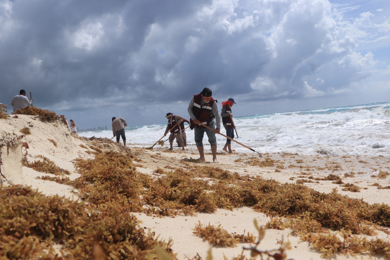 Garantizan limpieza de playas en Cancún