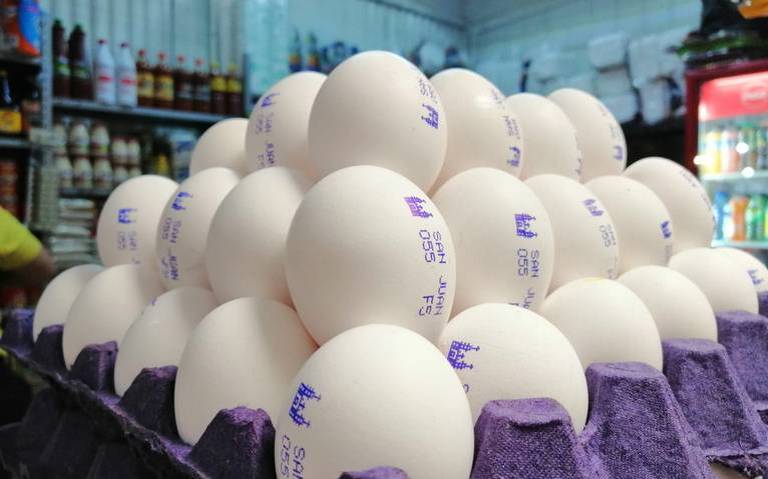 Aumenta el precio del huevo en Quintana Roo