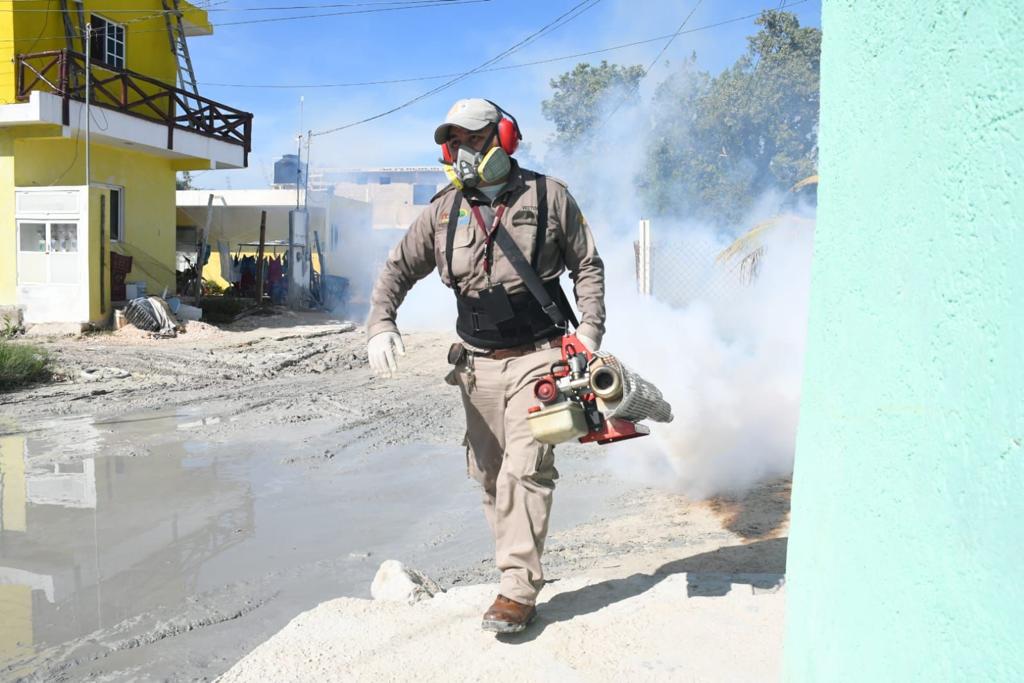 Convocan a la Segunda Jornada Nacional Contra el Dengue