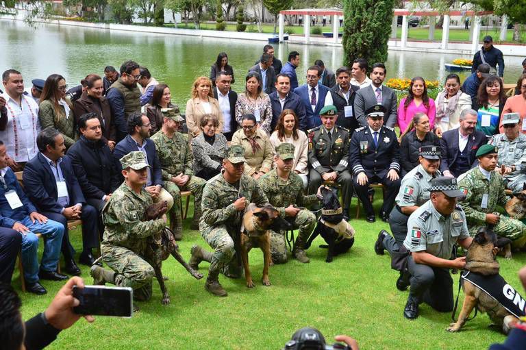 “Gobierno de BJ se une a políticas para prevenir el maltrato animal”