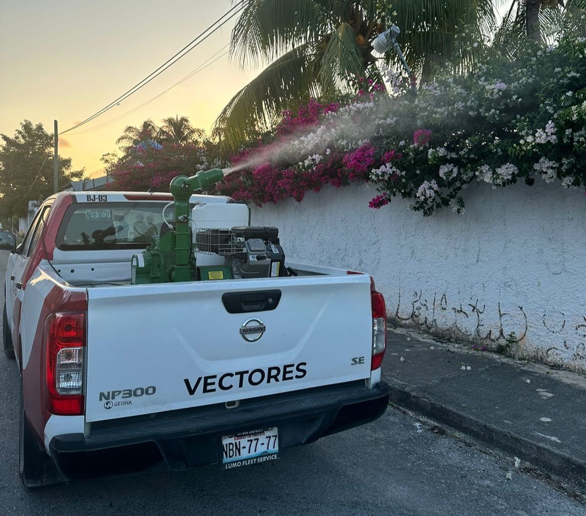 SESA intensifica medidas en la lucha contra el dengue en Quintana Roo