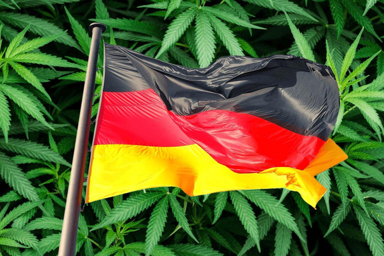 Alemania avanza hacia la legalización parcial de la mariguana
