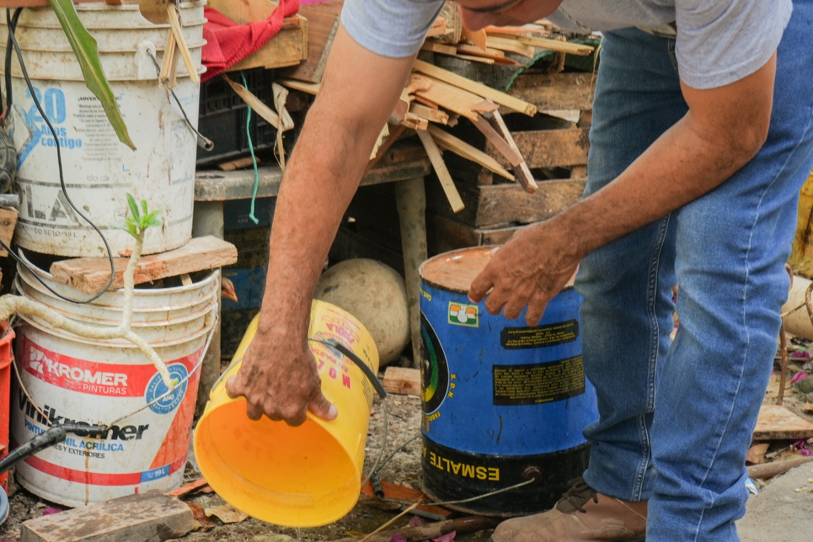 Estrategia de patio limpio contra el dengue en Quintana Roo