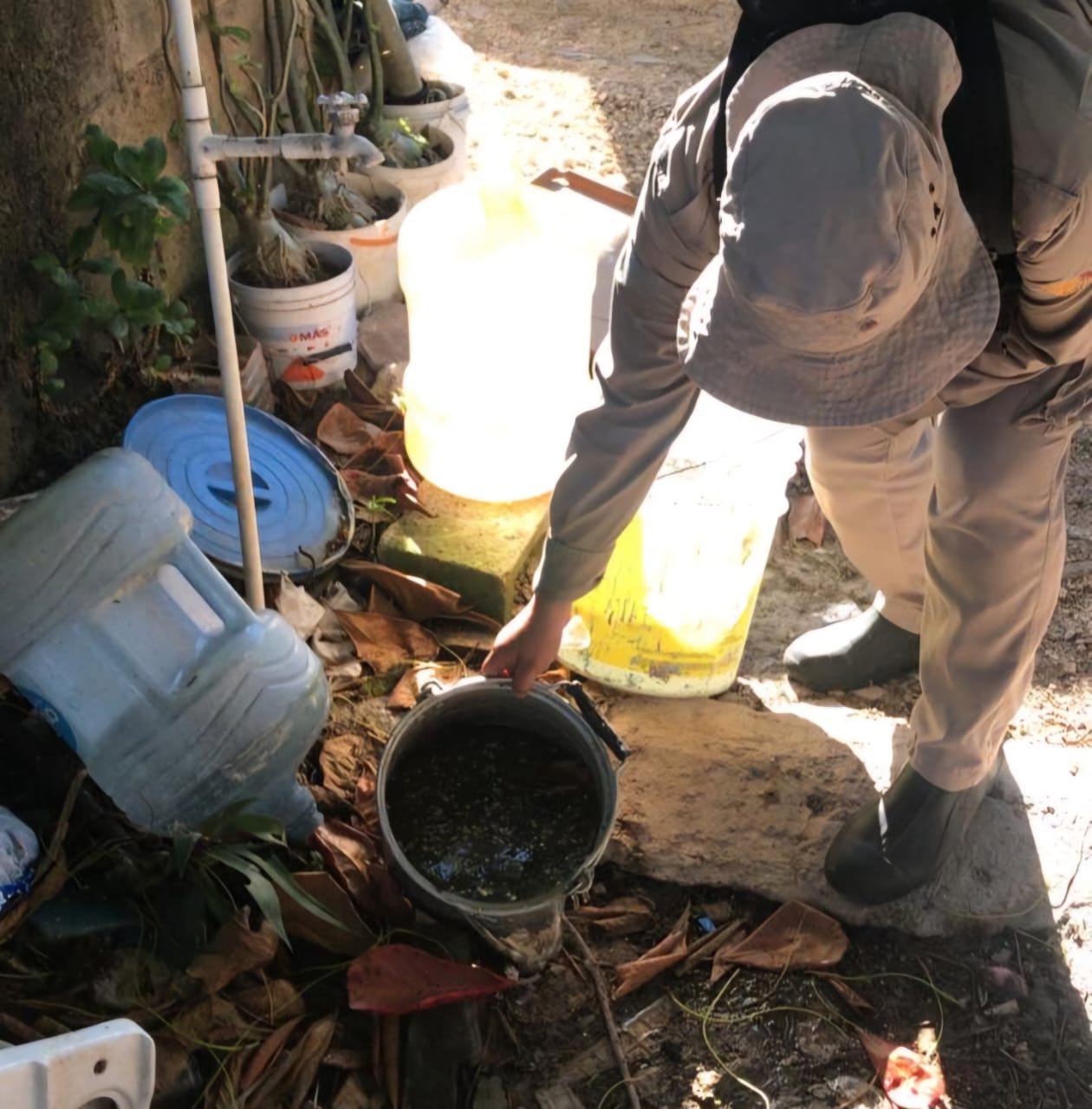 Llama SESA a redoblar esfuerzos para prevenir el dengue en Quintana Roo