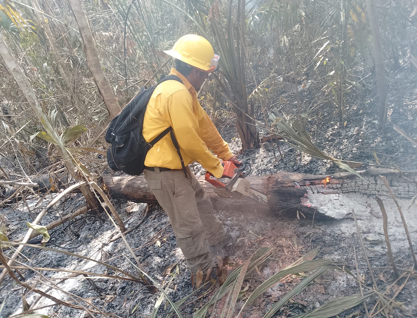 Quintana Roo refuerza estrategias para la temporada de incendios