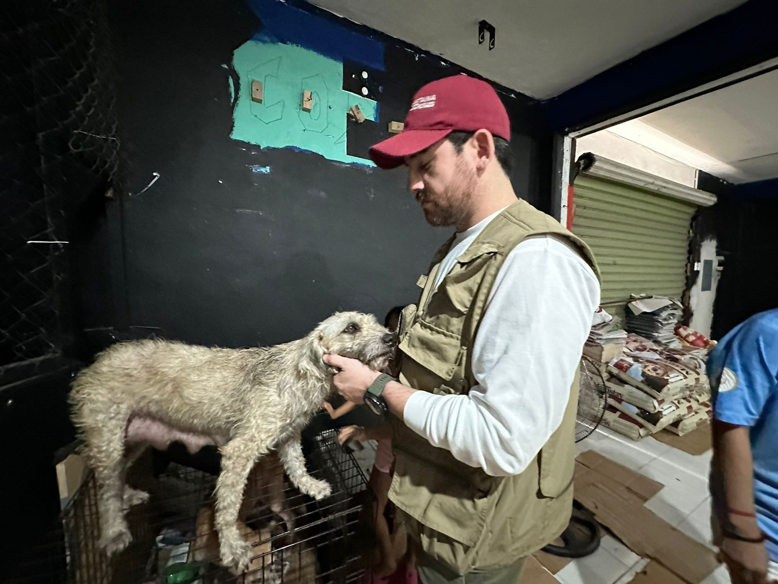 Refugios para animales, prioridad en Quintana Roo durante huracán ‘Beryl’