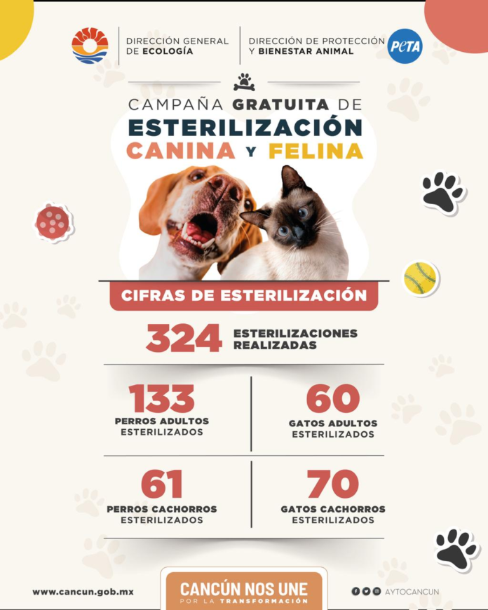 bienestar animal Cancún