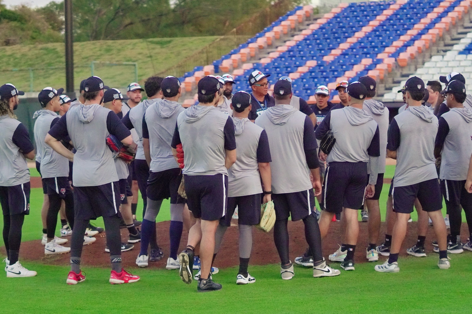 Tigres de Quintana Roo